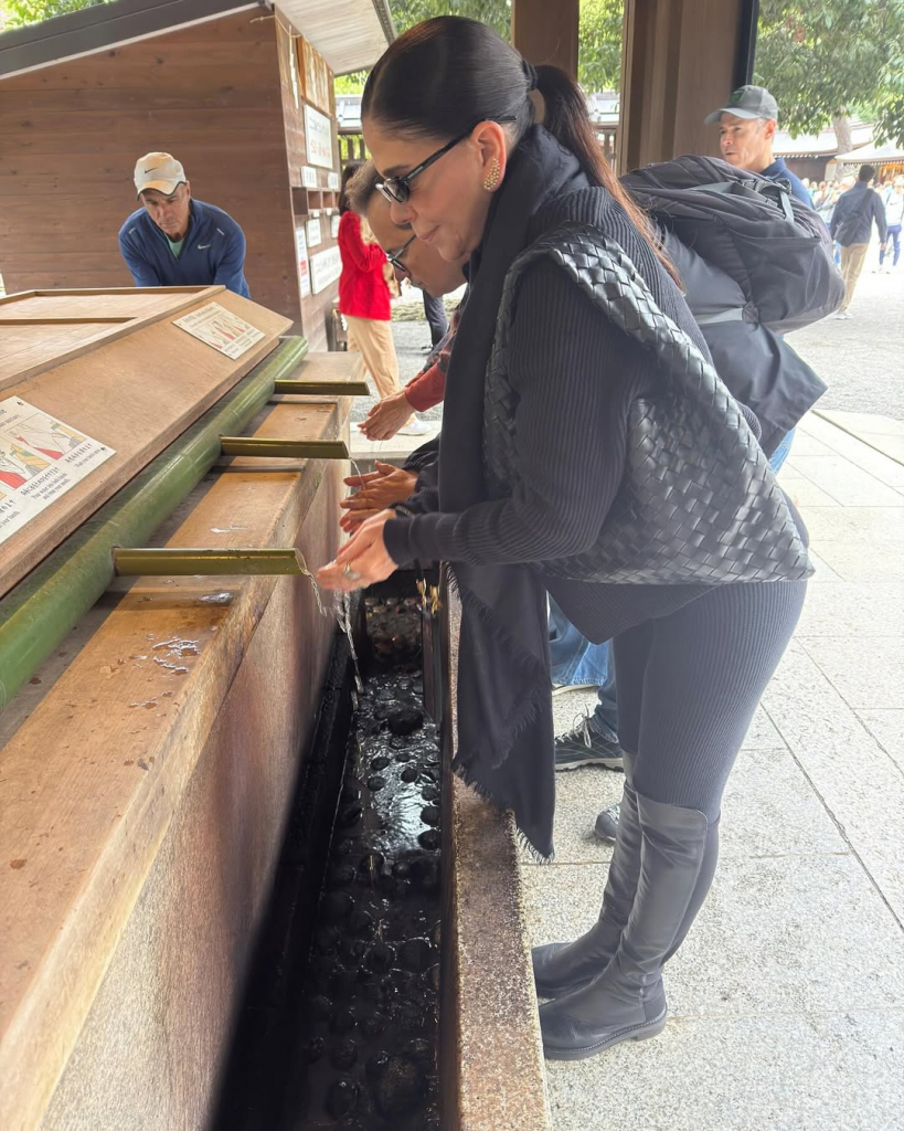 Maria Lúcia Negrão (2)