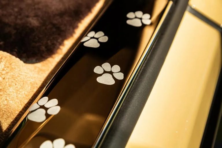 Modelo Spectre Bailey Traz Retrato Entalhado à Mão E Detalhes Inspirados No Golden Retriever Labrador