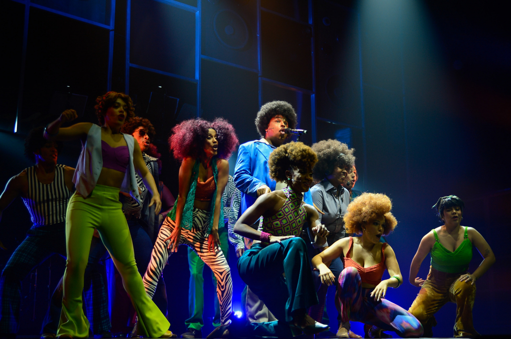 Musical Tim Maia (1)