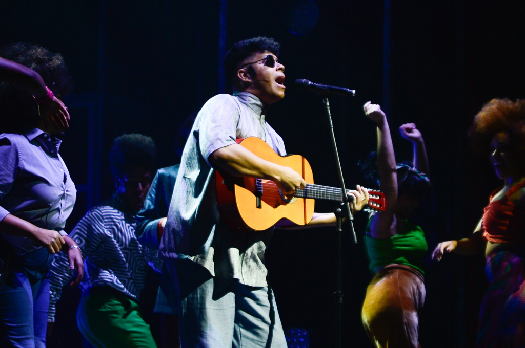 Musical Tim Maia (3)