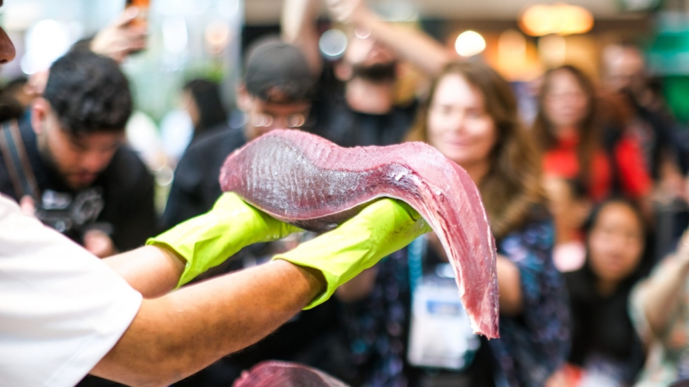 Seminário Itália–Brasil impulsiona novos investimentos no setor pesqueiro no CE Seminário Itália–Brasil impulsiona novos investimentos no setor pesqueiro no CE