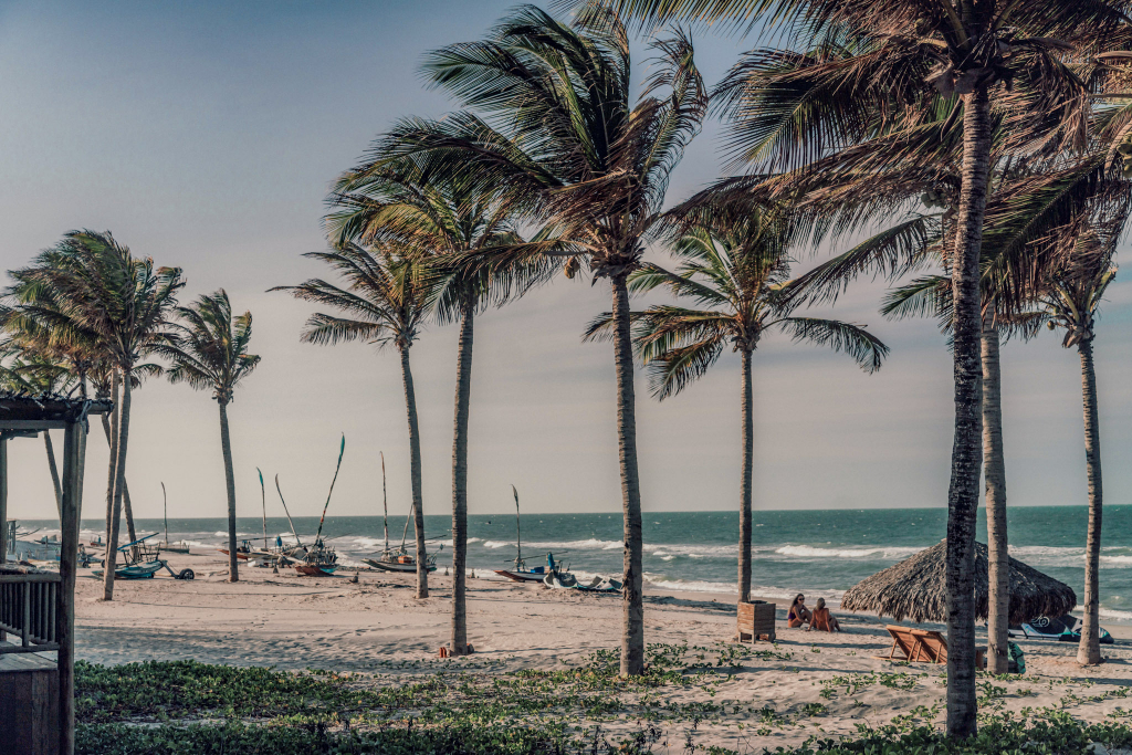 Praia Do Pontal De Maceió Em Frente Ao Vila Selvagem