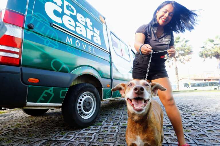 Governo do Ceará lança programa “Ração do Bem” neste sábado em Fortaleza