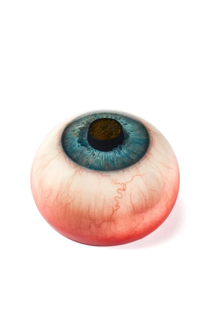 Rasmus Munk Dish 2 Credit