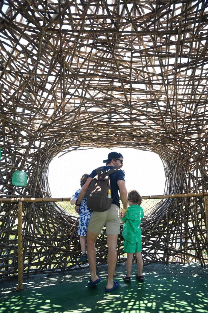 Romeu, Gael E Thales Bretas No Parque Arvorar