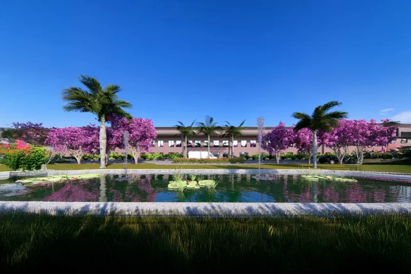 Vg Collection Amazonia 2