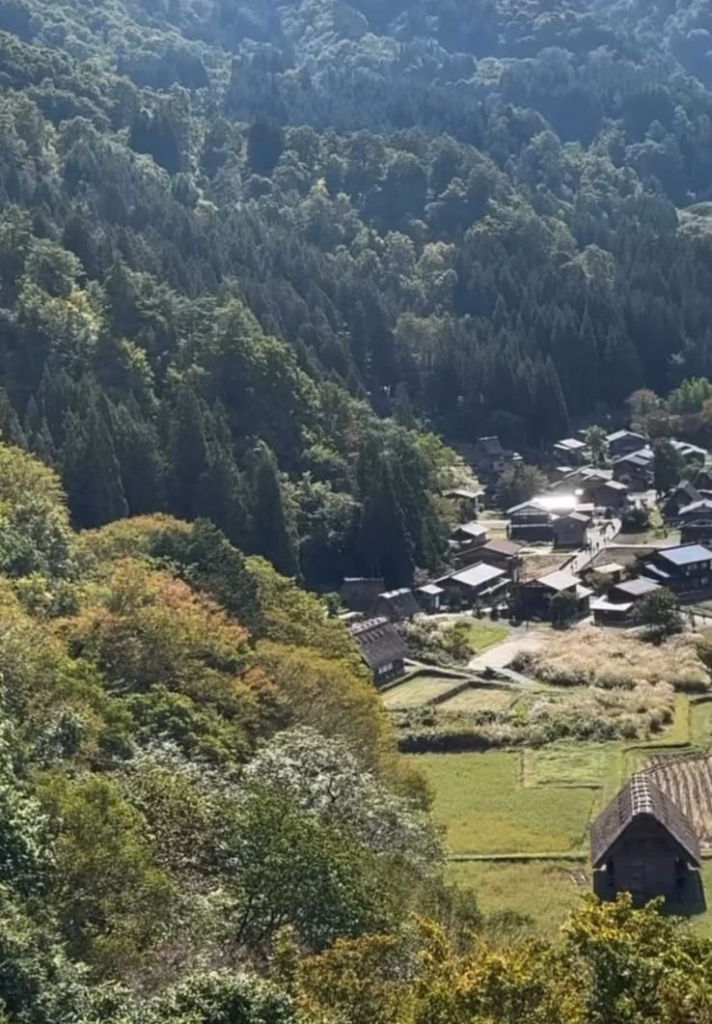 Whatsapp Image 2025 10 25 At 15.12.42