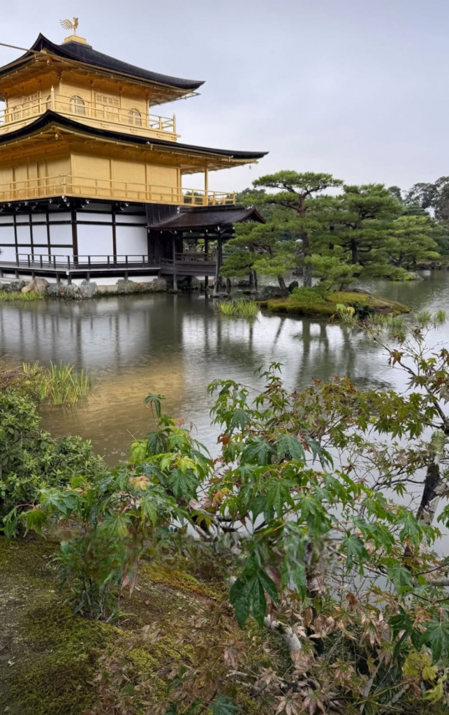 Whatsapp Image 2025 10 26 At 18.24.07 (1)