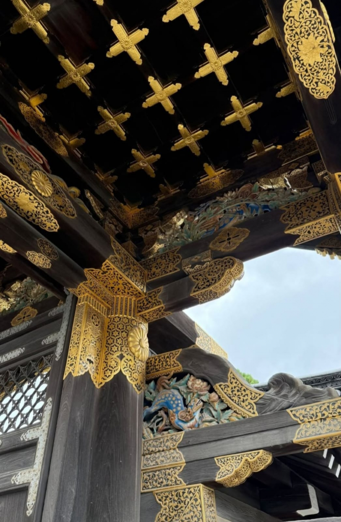 Whatsapp Image 2025 10 26 At 18.24.09