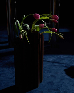 561450605 18537920938047335 6830777240819003837 N