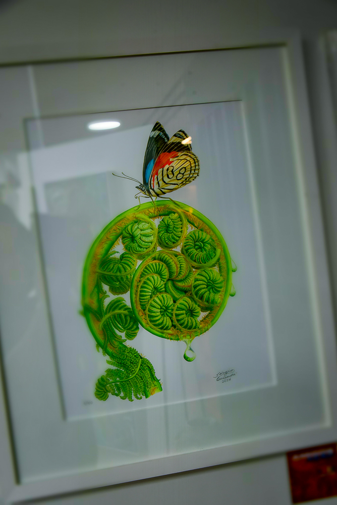 Abertura Exposição Coletiva Amigos Em Ação (9) 2