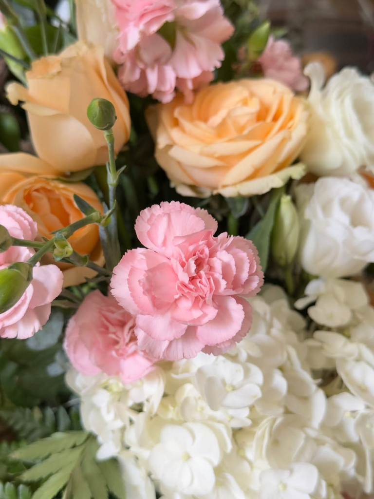 Aniversário De Lourdes Maria (7)