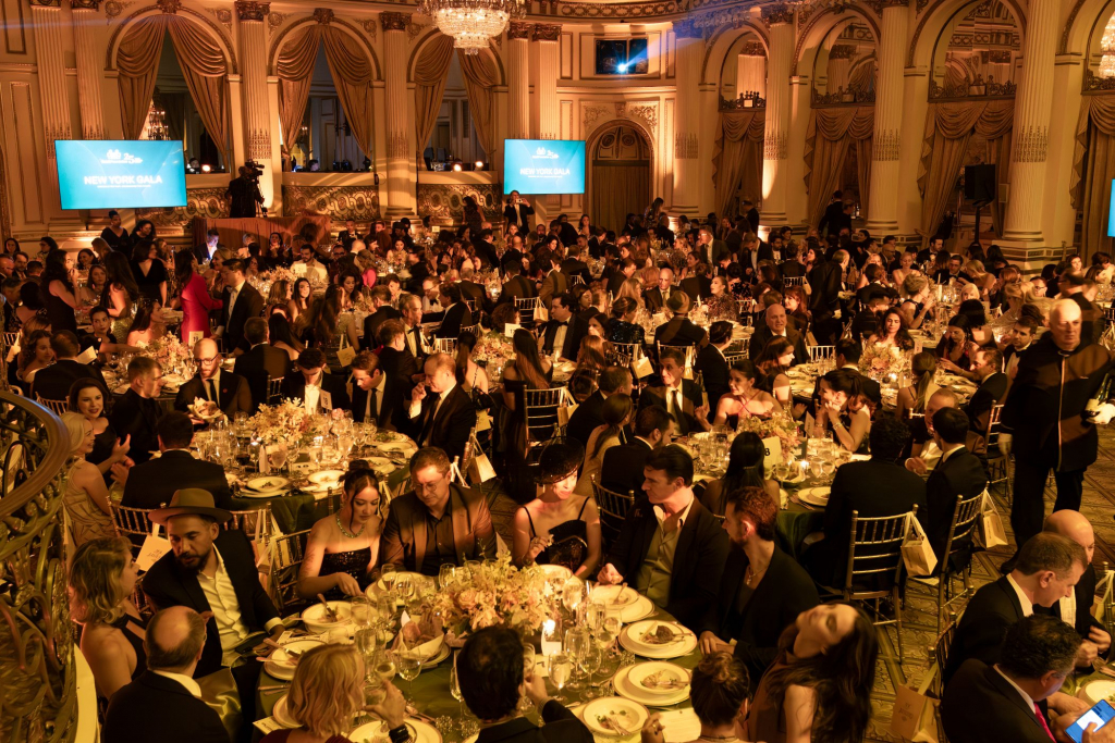 Brazilfoundation Crédito Ricardo De Mattos