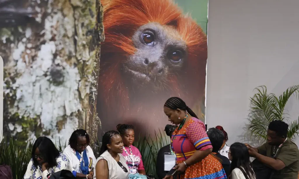 Cop30 Foto Agência Brasil