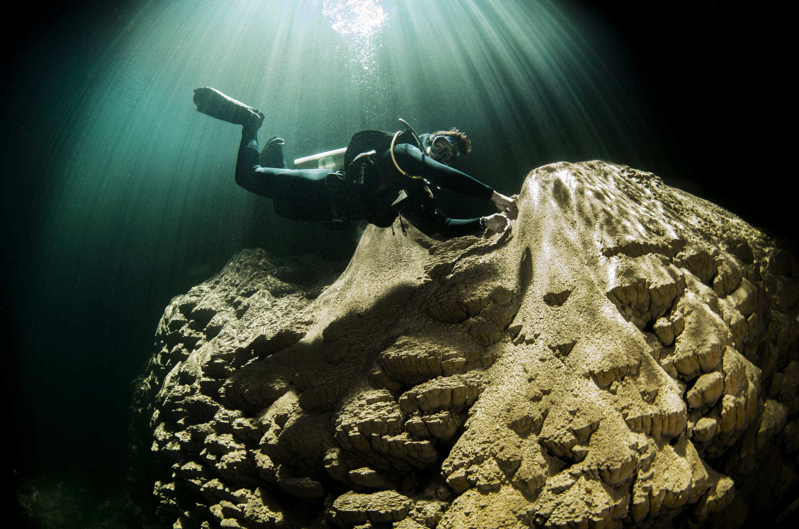 Cearense Ruver Bandeira leva a natureza de Bonito ao topo da fotografia subaquática mundial