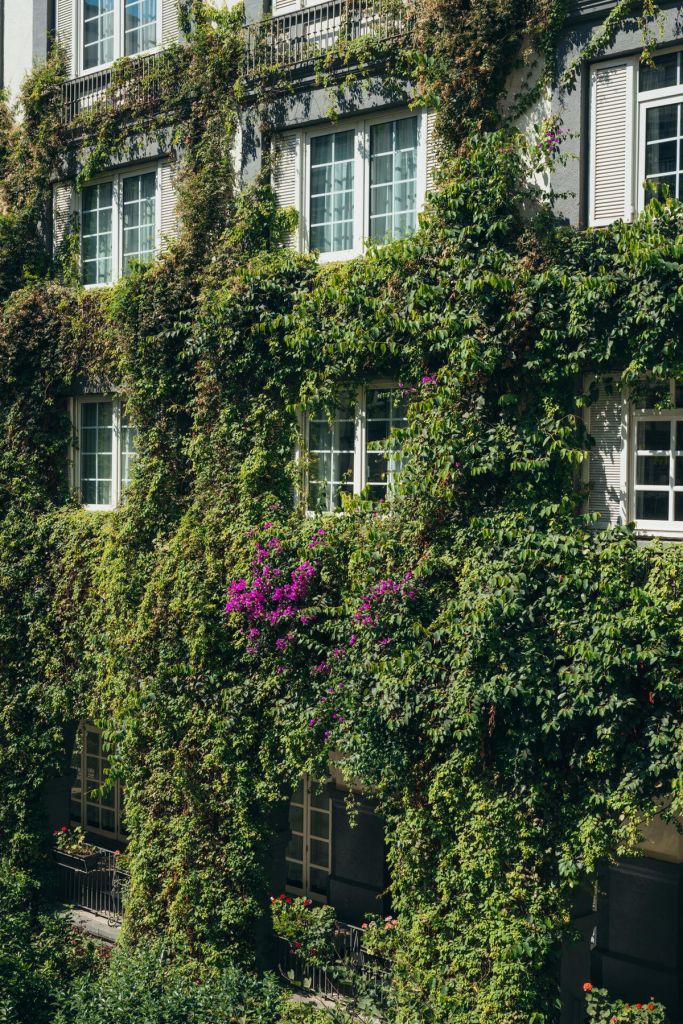 Four Seasons Hotel Mexico City