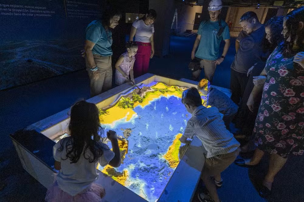 Imagem Do Whatsapp De 2025 11 13 A S 11.44.17 563a70d9