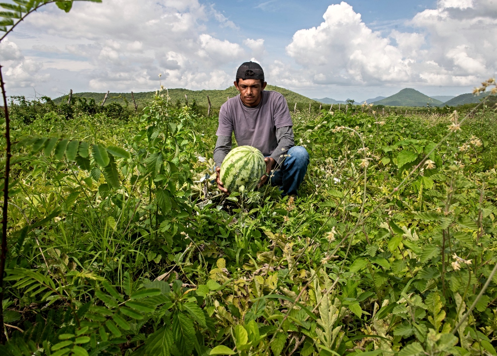 Fecomércio Ceará promove encontro para discutir o futuro da agricultura familiar