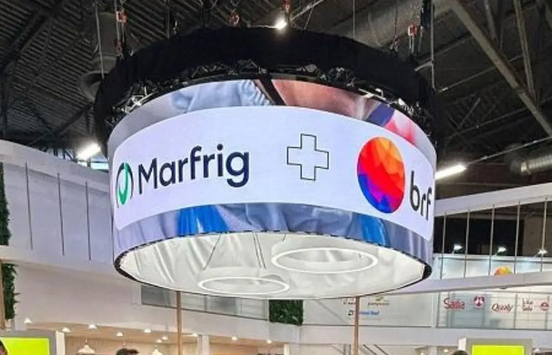 MBRF registra lucro de R$ 94 milhões no 3º trimestre e cita impacto da gripe aviária