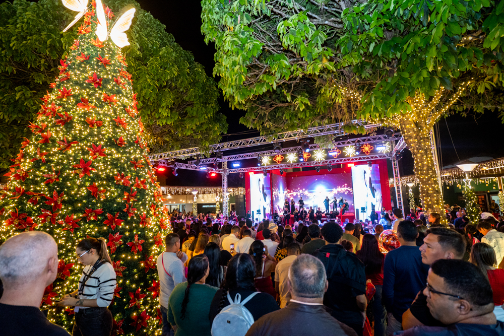 Natal Encantado De Guaramiranga (18)