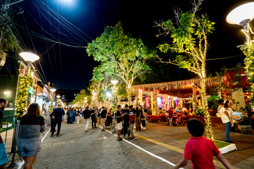 Natal Encantado De Guaramiranga (3)