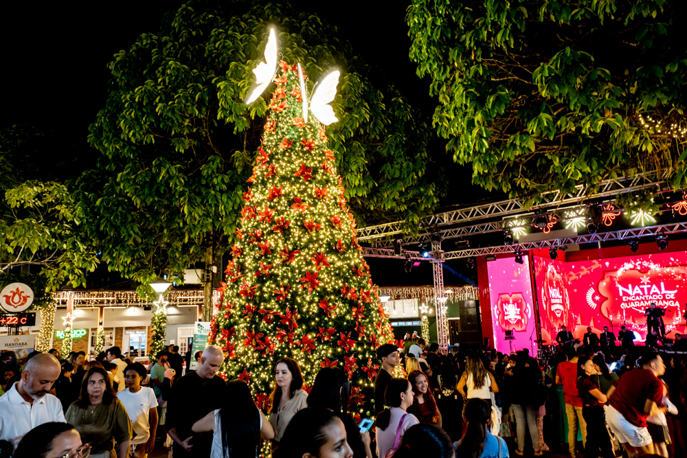 Natal Encantado De Guaramiranga (6)