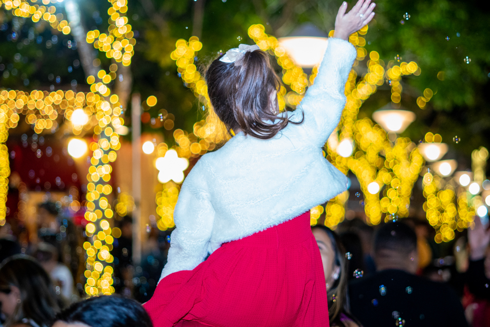 Natal Encantado De Guaramiranga (7)