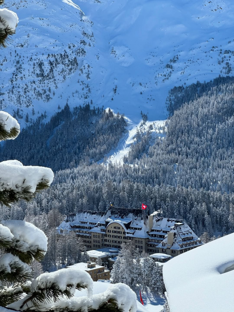 Saveclip.app 561498598 18512253511064788 3257949088909375258 N