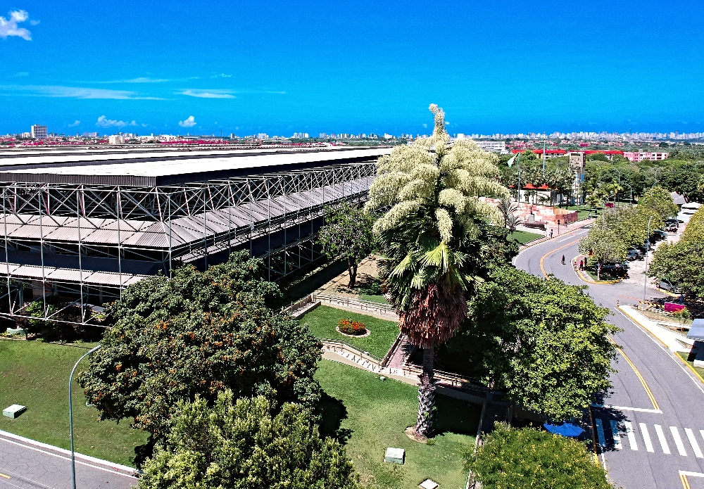 BNB eleito a marca mais valiosa do Nordeste e figura entre maiores do País