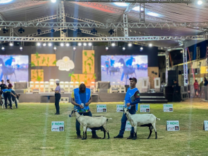 Whatsapp Image 2025 11 24 At 06.13.54