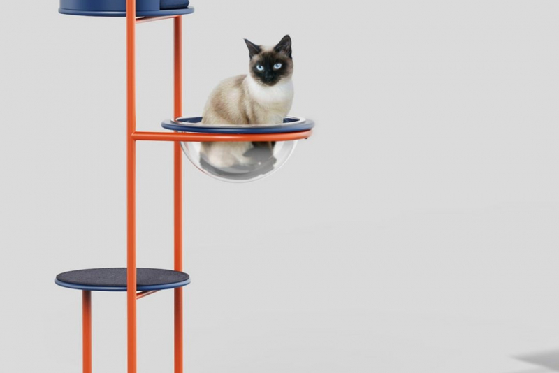 588097838 18498017968075058 5167204379999552184 N