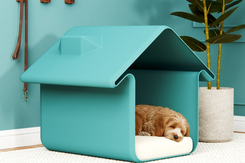 589949709 18049293554679421 5607046169549588183 N