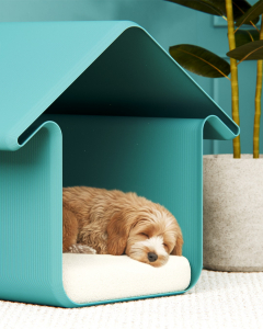 601434676 18049293551679421 1477535373370349115 N