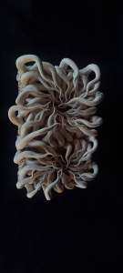 77335878 A00c 4e70 9d84 0e24f44c8dcf