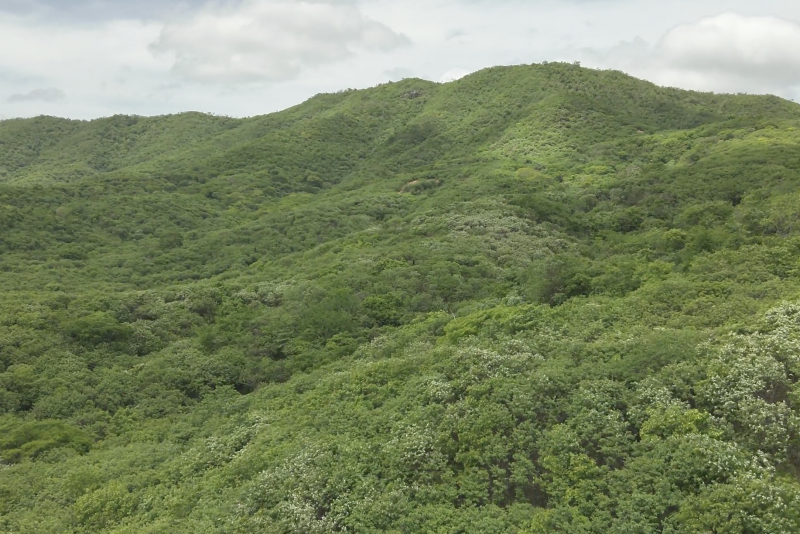 Apa Serras Da Caatinga1