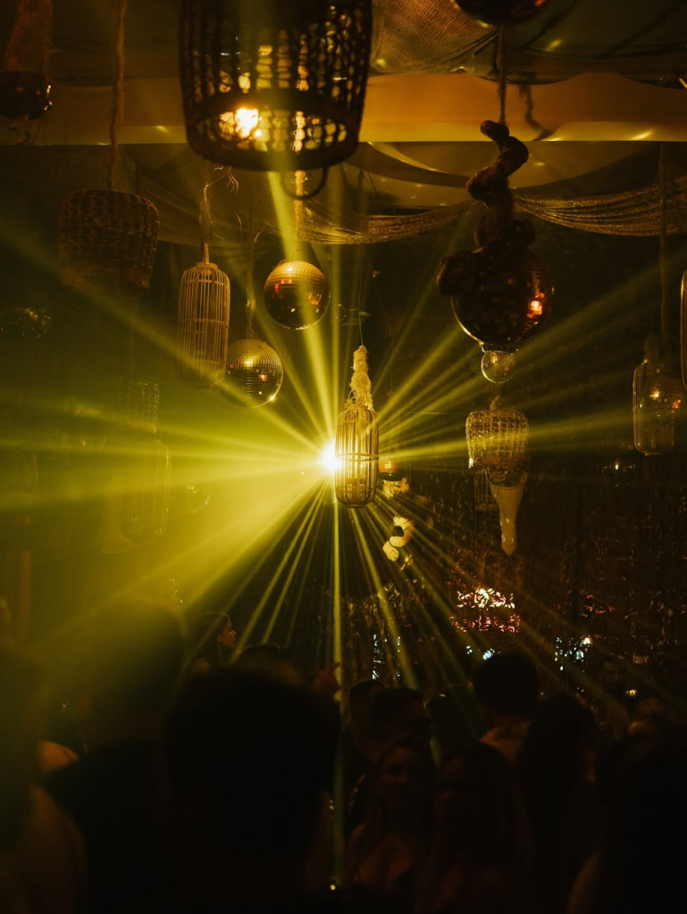 Are You Ready For @anotr.music At Safari🪩🦒 (1)