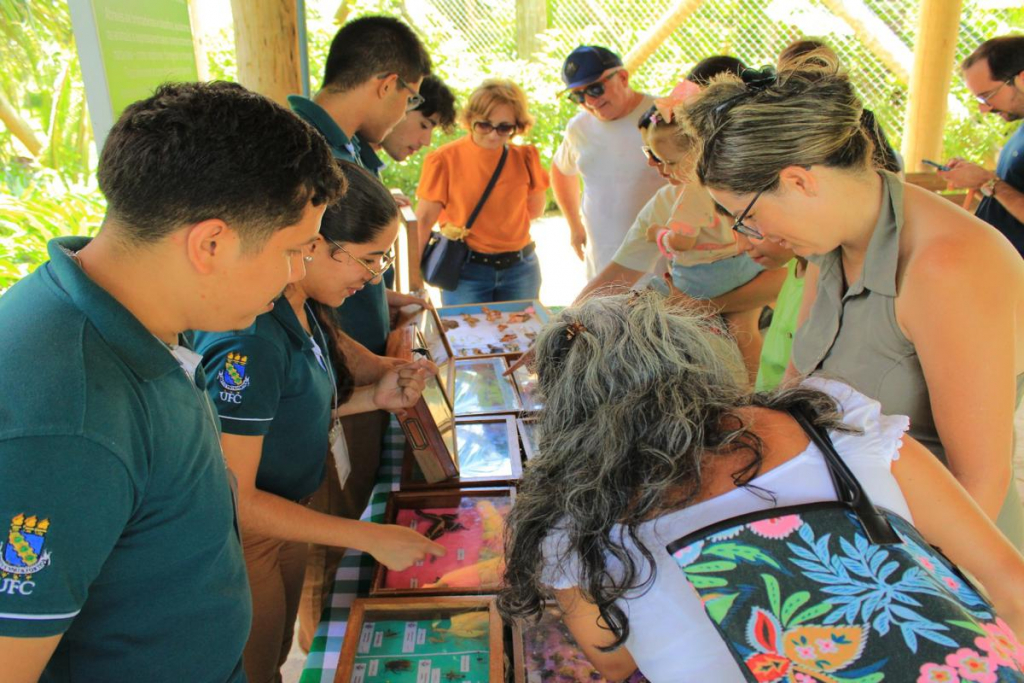 Borboletário Ufc (2)