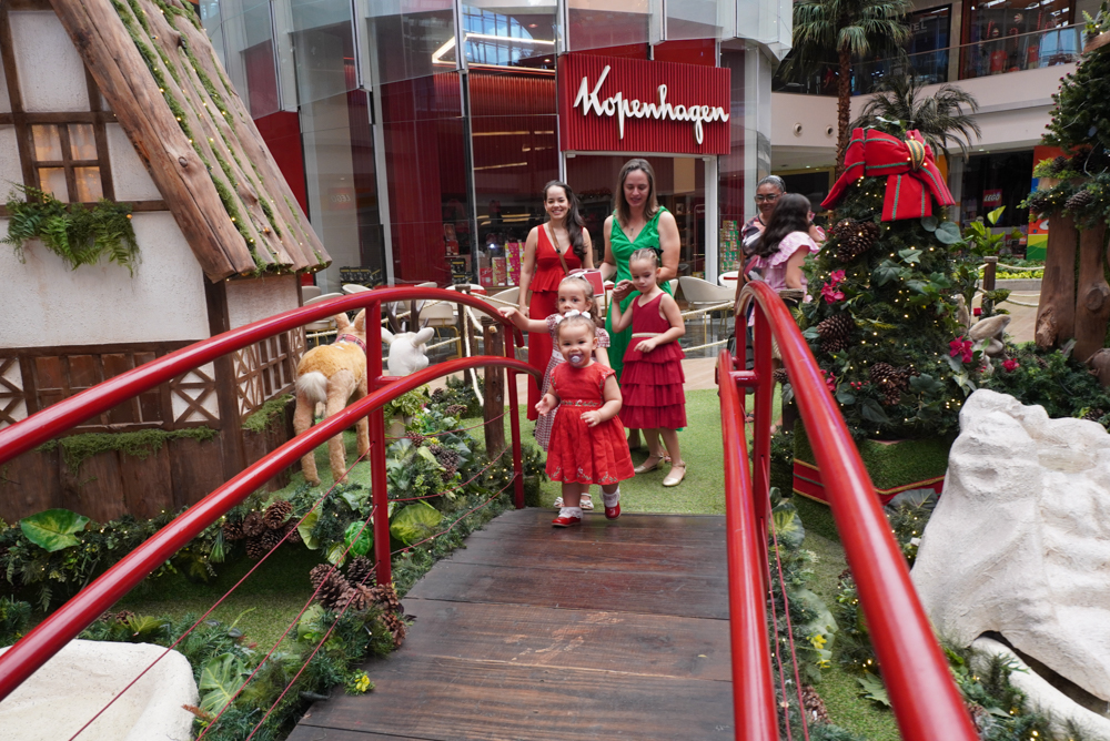 Café Da Manhã Com Noel No Iguatemi Bosque (24)