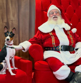 RioMar Fortaleza dedica horário especial para encontro do Papai Noel com tutores e pets