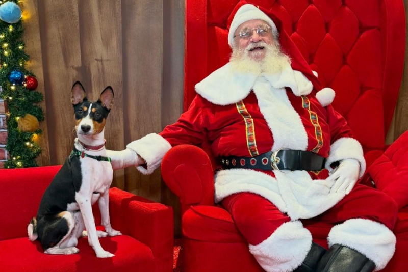 RioMar Fortaleza dedica horário especial para encontro do Papai Noel com tutores e pets