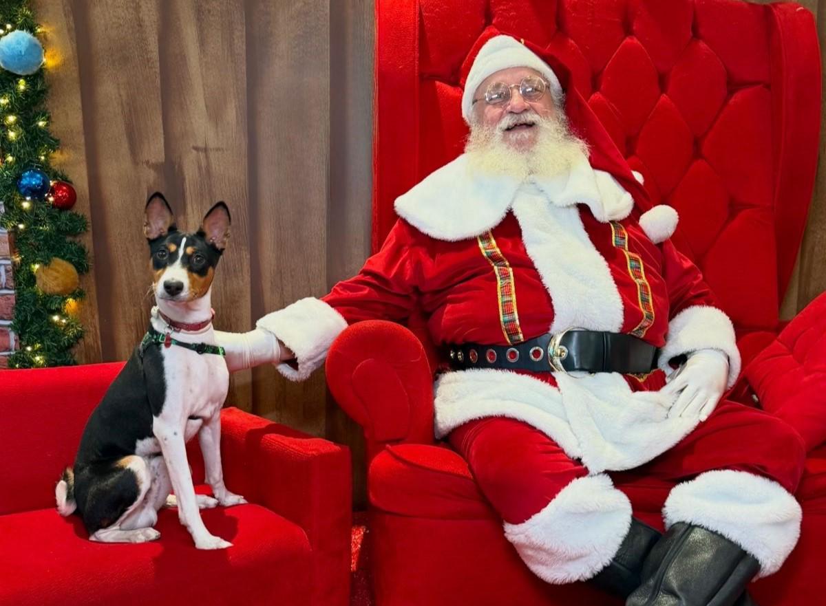 RioMar Fortaleza dedica horário especial para encontro do Papai Noel com tutores e pets