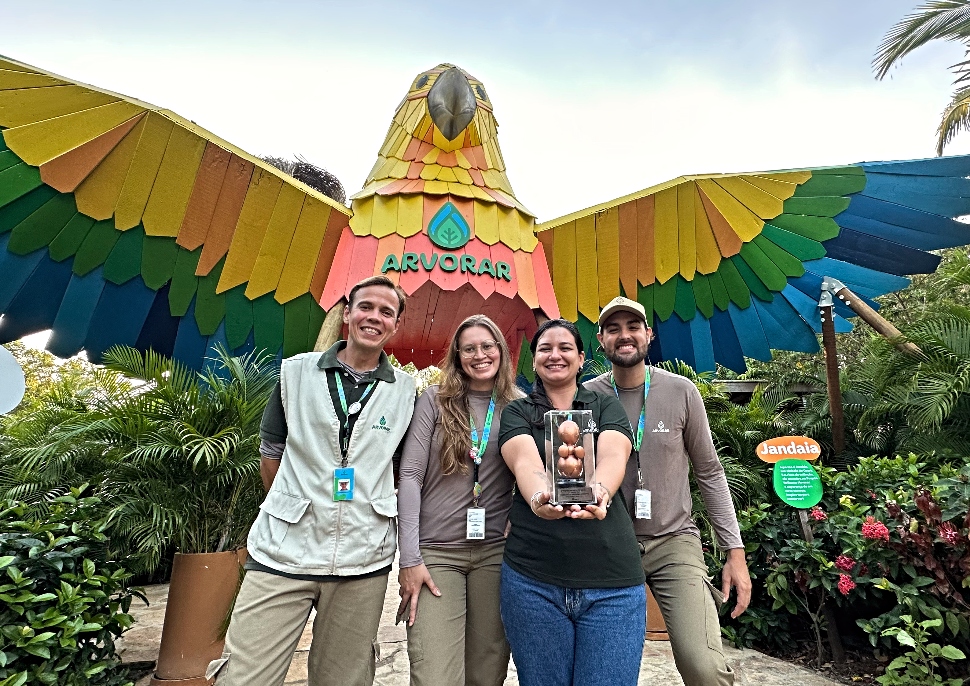 Parque Arvorar recebe o Prêmio Maurício de Sousa 2025 e obtém destaque em ESG