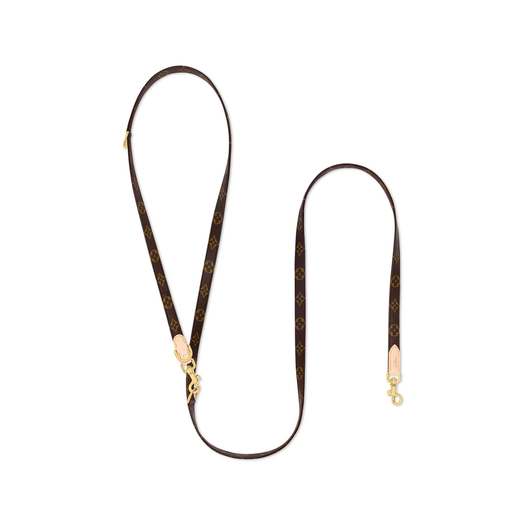 Lv Cross Body Leash Monogral