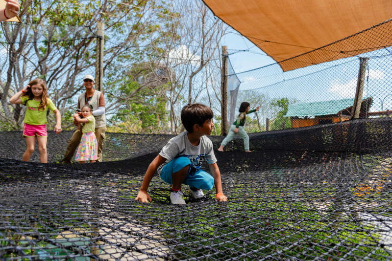 Parque Arvorar Foto Arnaldo Dantas (2)