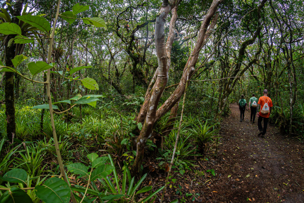 Parque Nacional Do Superagui (3)