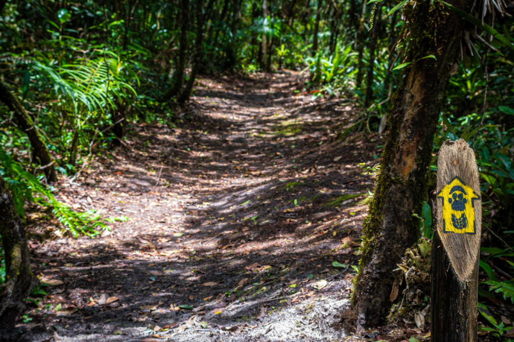 Parque Nacional Do Superagui (4)