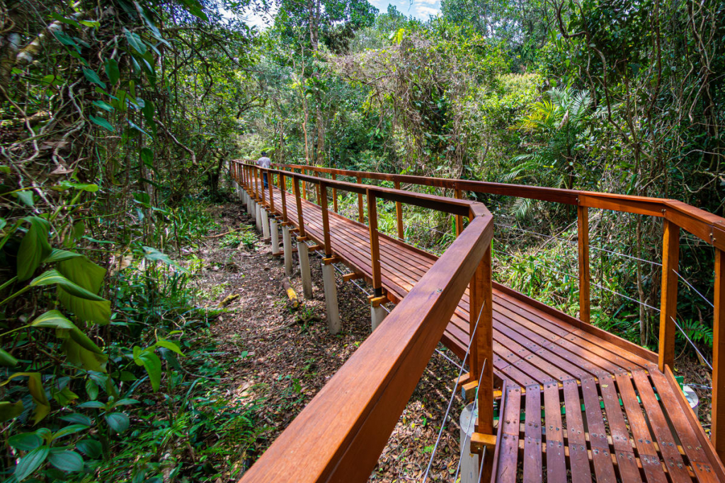 Parque Nacional Do Superagui (7)