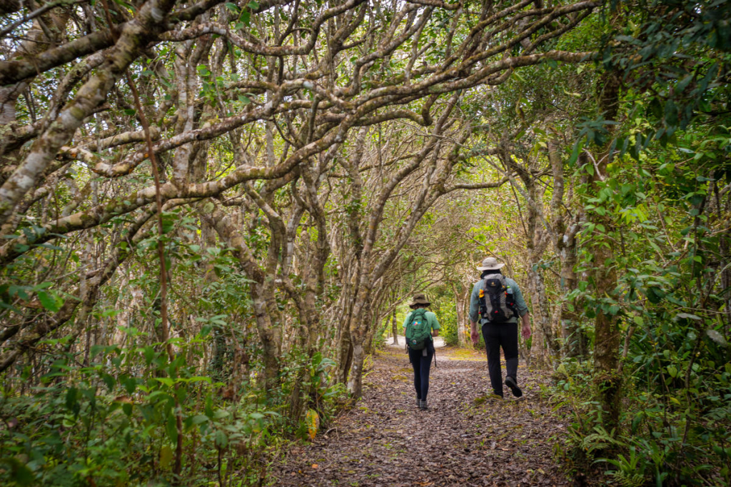 Parque Nacional Do Superagui (8)