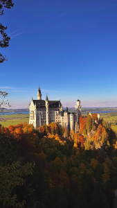 Saveclip.app 567759922 18074265470179878 1348618061573903203 N