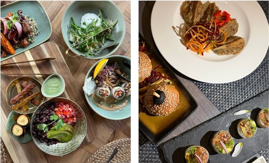 Saveclip.app 574321442 18541522249019425 1002781885223902469 N